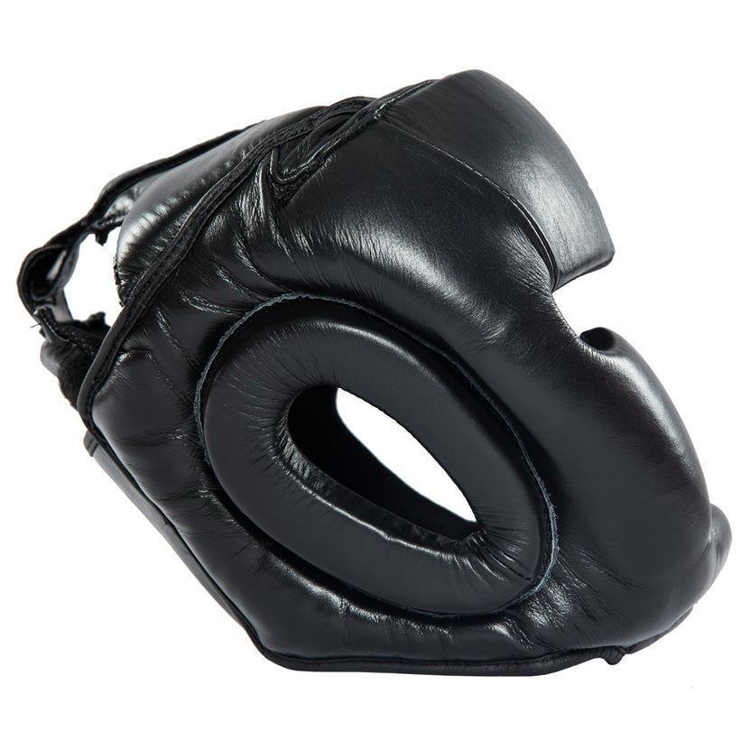 FUJI SPORTS PRO PERFORMANCE HEAD GEAR